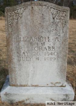 Elizabeth Ann "lizzie" Torents Crabb