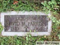 David M Parrish