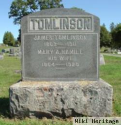 Mary Ann Hamill Tomlinson