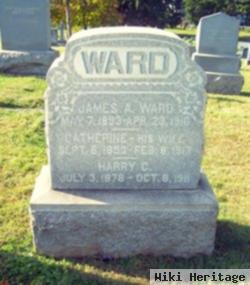 James A Ward