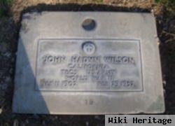 John Hadyn Wilson