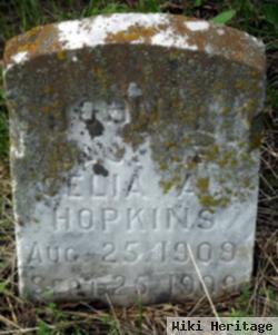 John L Hopkins