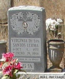 Virginia De Los Santos Lerma