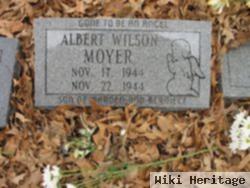 Albert Wilson Moyer