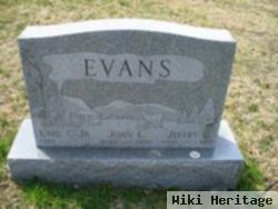 Joan L Evans