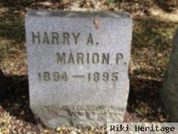 Marion P Harmon