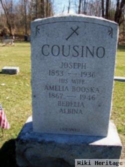 Joseph Cousino