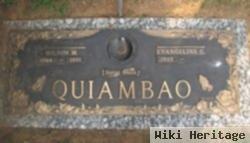 Wilson M Quiambao
