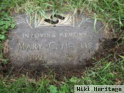 Mary C Terry Hollis