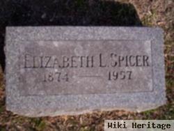 Elizabeth L Hornberger Spicer