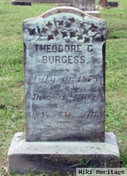 Theodore C. Burgess