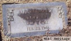 Albert Sidney Crowley