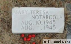 Mary Teresa Notarcola
