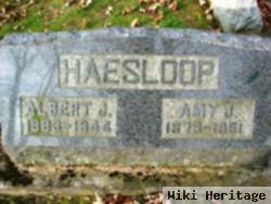 Amy J Haesloop