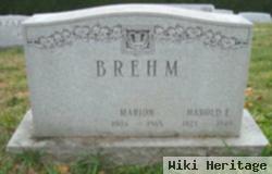 Harold E Brehm