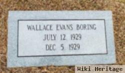 Wallace Evans Boring