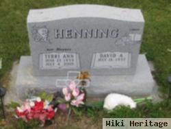 Terri Ann Henning