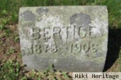 Bertice Burnham