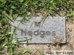 M. Hedges