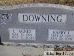 Lora Agnes Dahlgin Downing