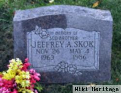 Jeffrey A Skok