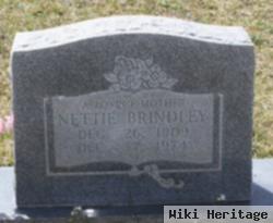 Nettie Doyle Brindley