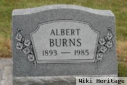 Albert Burns