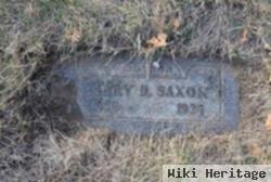 Mary D Coan Saxon