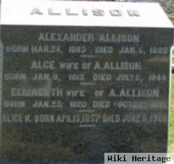 Alexander Allison
