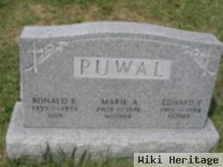 Edward F Puwal