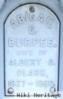 Abigail G. Burpee Clark