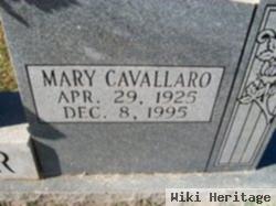 Mary Ann Cavallaro Setzer