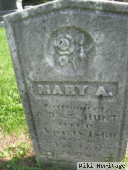 Mary A Hunt