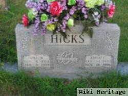 Mike W Hicks