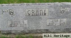 Zina D Crane