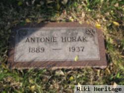 Antonie Horak