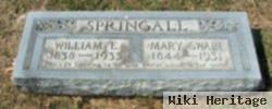 Mary A Swain Springall