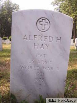 Alfred H Hay