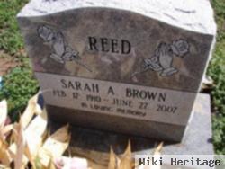Sarah A. Brown Reed