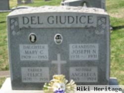 Felice Del Giudice