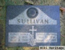 Robert James Sullivan