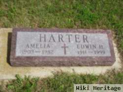 Amelia Harter