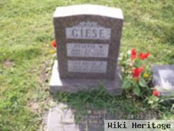 Joseph W Giese