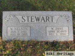 W. Nelson Stewart