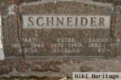 Peter Schneider