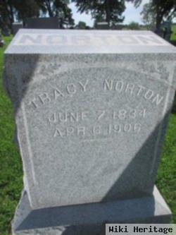 Tracy S Norton