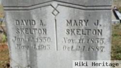 David Addison Skelton