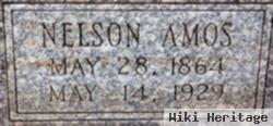 Nelson Amos Herrick