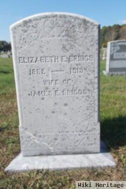 Elizabeth Ellen Briggs