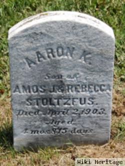 Aaron K Stoltzfus